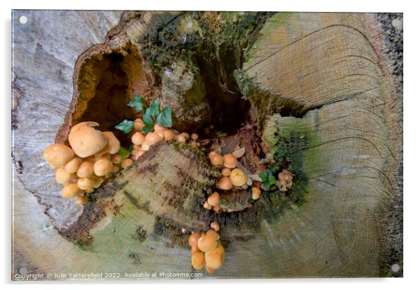 Mushroom treehouse Acrylic by Julie Tattersfield
