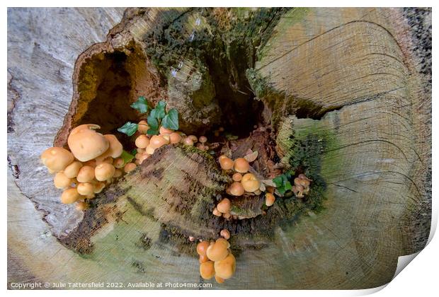 Mushroom treehouse Print by Julie Tattersfield