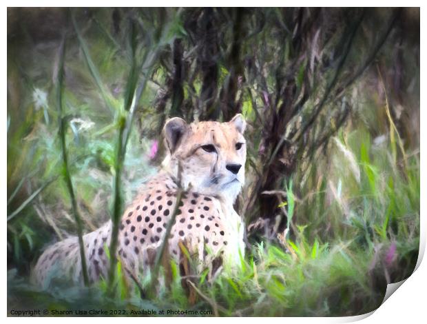 Resting Cheetah Print by Sharon Lisa Clarke