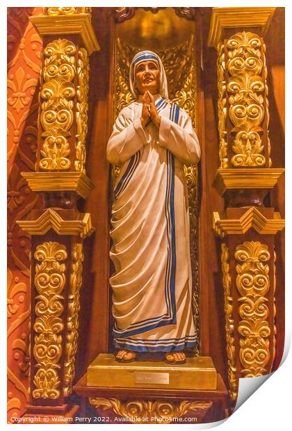 Mother Teresa Statue St. Augustine Cathedral Tucson Arizona Print by William Perry