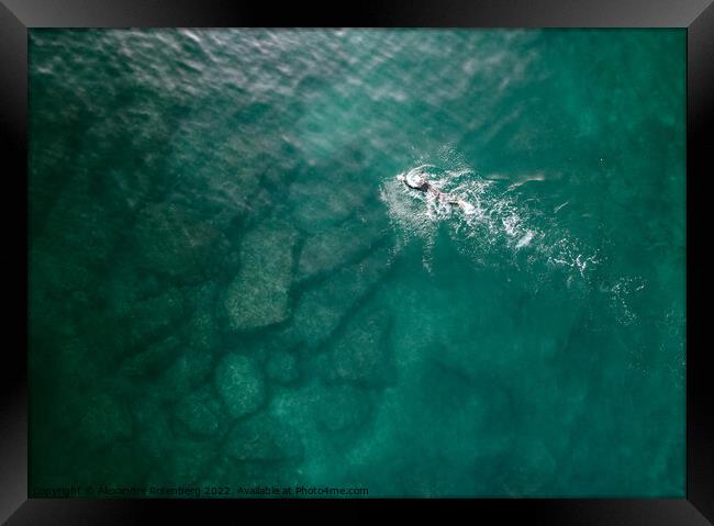 Top down aerial view of unidentifiable male open water swimming in turquoise water. Captured in Cascais, Portugal Framed Print by Alexandre Rotenberg