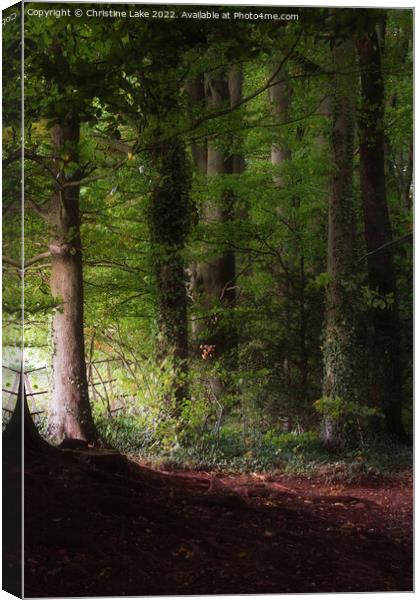 The Light At The End Of The Wood Canvas Print by Christine Lake