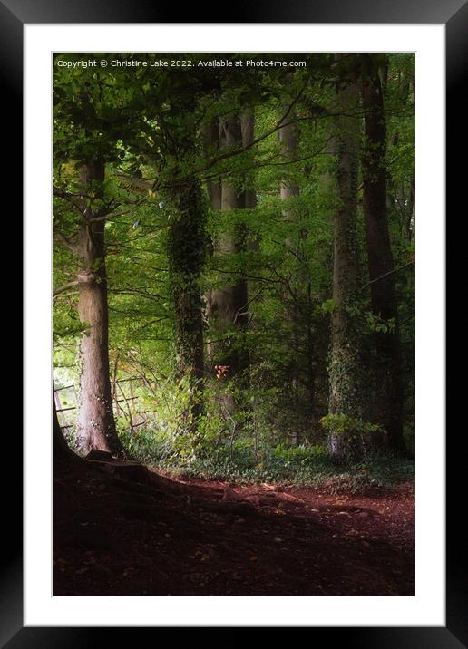 The Light At The End Of The Wood Framed Mounted Print by Christine Lake