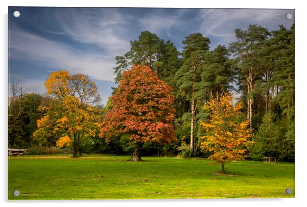 Autumn colours Acrylic by Leighton Collins