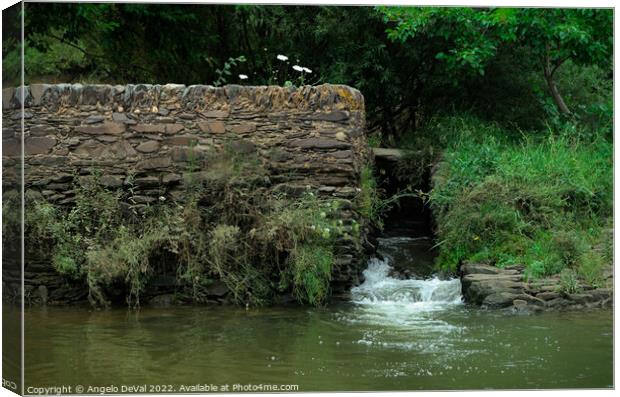 Antique Water Mill in Azenhas do Guadiana Canvas Print by Angelo DeVal