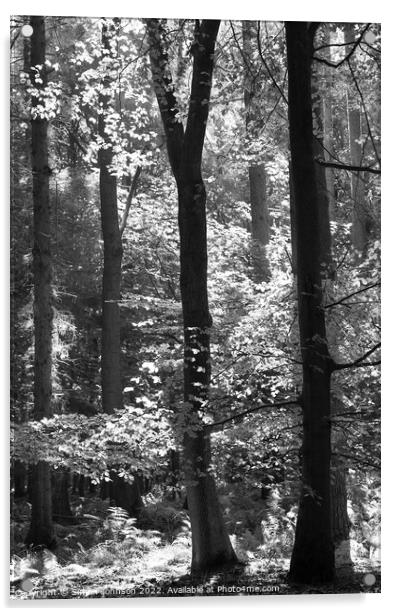 woodland in monochrome  Acrylic by Simon Johnson