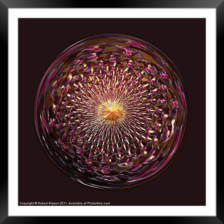 Spherical Paperweight sunflower Framed Mounted Print by Robert Gipson