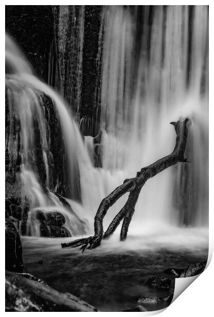 Branch perched on Alva glen waterfall Print by Jade Scott