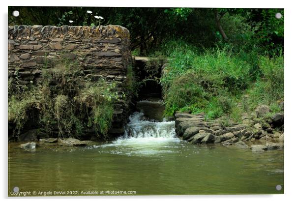 Old Watermill in Azenhas do Guadiana. Mertola  Acrylic by Angelo DeVal