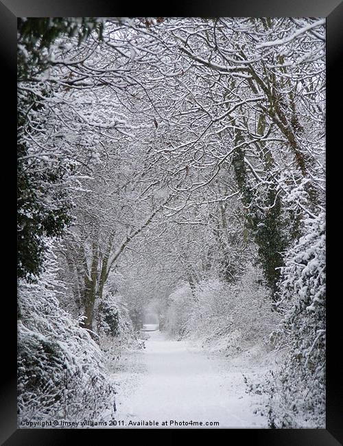 Snowy path Framed Print by Linsey Williams