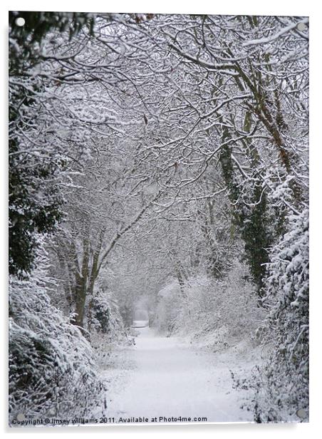 Snowy path Acrylic by Linsey Williams