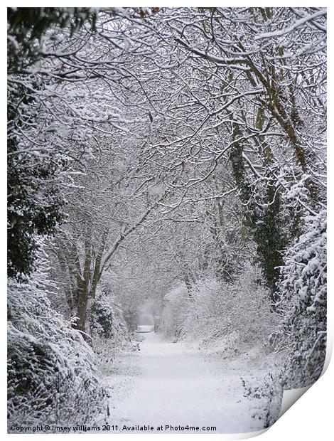 Snowy path Print by Linsey Williams