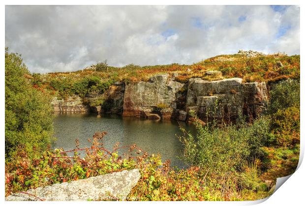 Bodmin Moor Carbilly Tor Disused Quarry  Print by Diana Mower