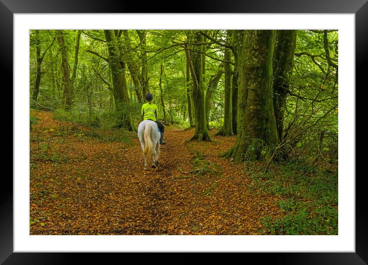 Rider on Horseback Woods Cardiff Framed Mounted Print by Nick Jenkins