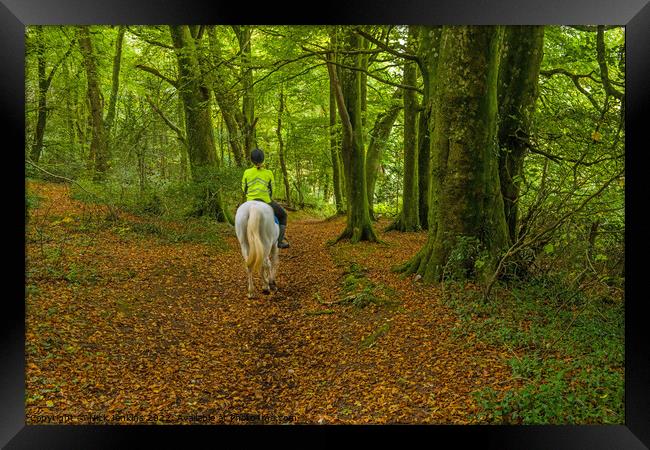 Rider on Horseback Woods Cardiff Framed Print by Nick Jenkins