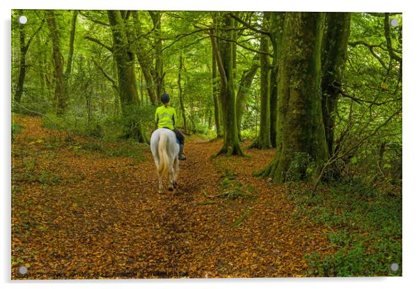 Rider on Horseback Woods Cardiff Acrylic by Nick Jenkins