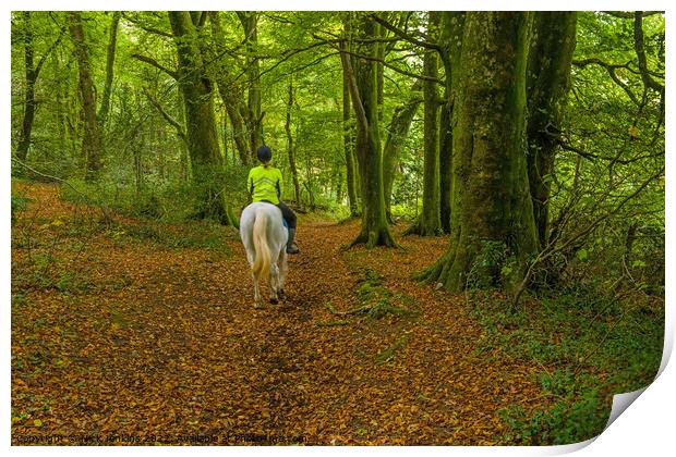 Rider on Horseback Woods Cardiff Print by Nick Jenkins