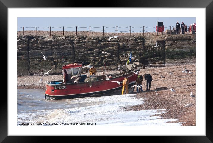 Gulls around fishing boat Framed Mounted Print by Sally Wallis