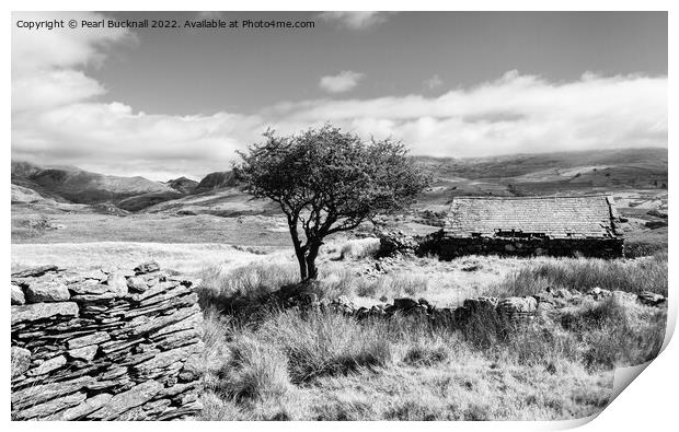 Cwm Pennant Snowdonia Landscape Black and White Print by Pearl Bucknall