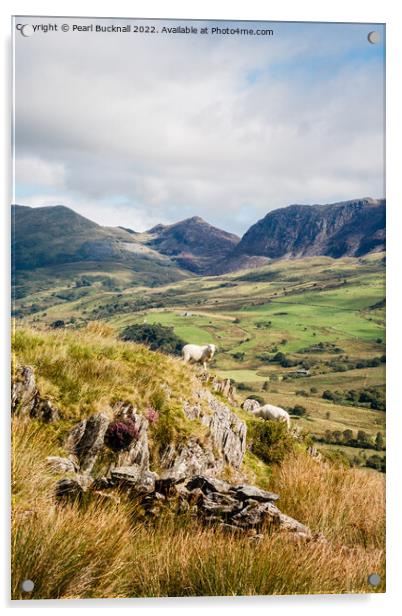 Cwm Pennant Valley Snowdonia Landscape Acrylic by Pearl Bucknall
