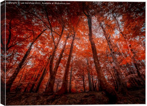 "Enchanting Symphony of Autumn's Palette" Canvas Print by Lee Kershaw