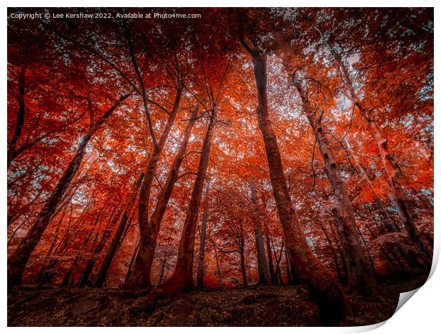 "Enchanting Symphony of Autumn's Palette" Print by Lee Kershaw