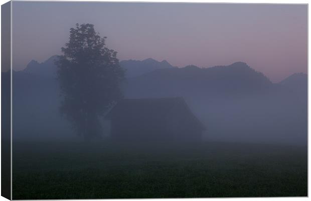 Mornig mist Canvas Print by Thomas Schaeffer
