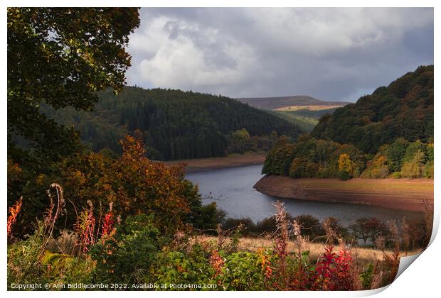 View of Ladybower Reservoir Print by Ann Biddlecombe