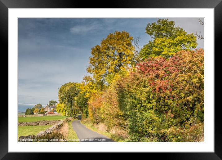 Autumn Colours at Bell Farm, Teesdale Framed Mounted Print by Richard Laidler
