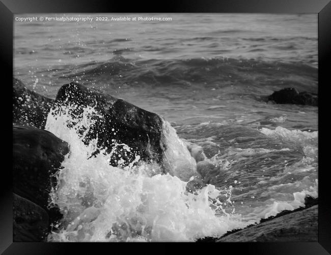Crashing wave Framed Print by Fernleafphotography 