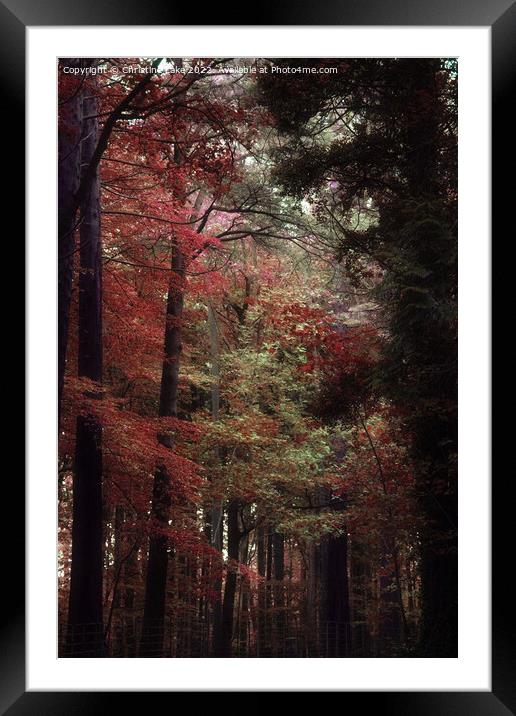 Walking In To Autumn Framed Mounted Print by Christine Lake