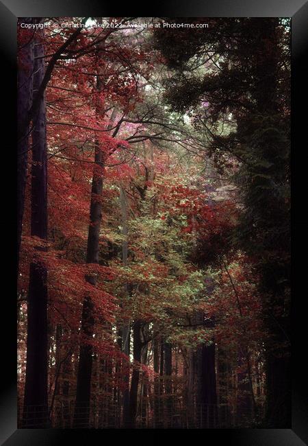 Walking In To Autumn Framed Print by Christine Lake