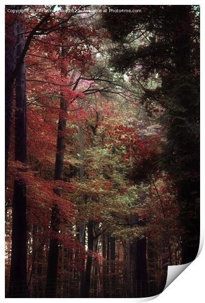 Walking In To Autumn Print by Christine Lake