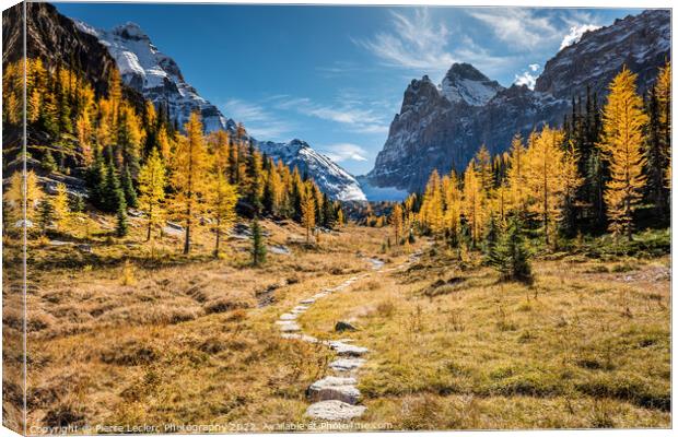 Hiking to the Golden Larch trees Canvas Print by Pierre Leclerc Photography