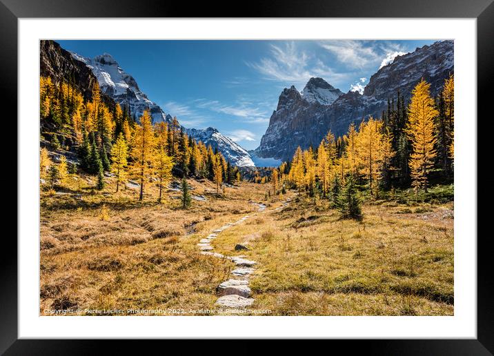Hiking to the Golden Larch trees Framed Mounted Print by Pierre Leclerc Photography