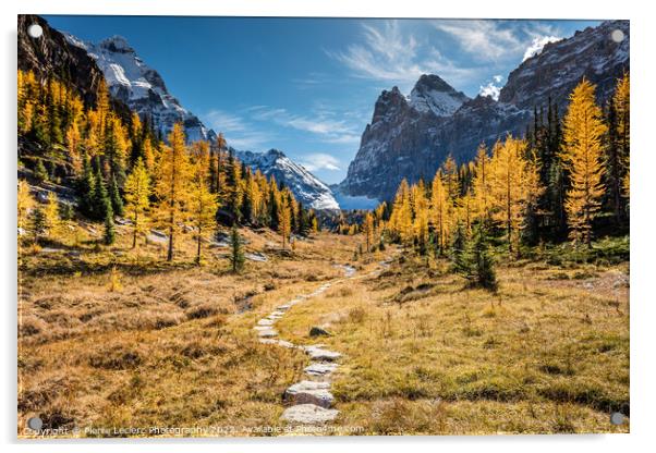 Hiking to the Golden Larch trees Acrylic by Pierre Leclerc Photography
