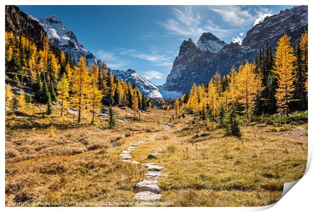 Hiking to the Golden Larch trees Print by Pierre Leclerc Photography
