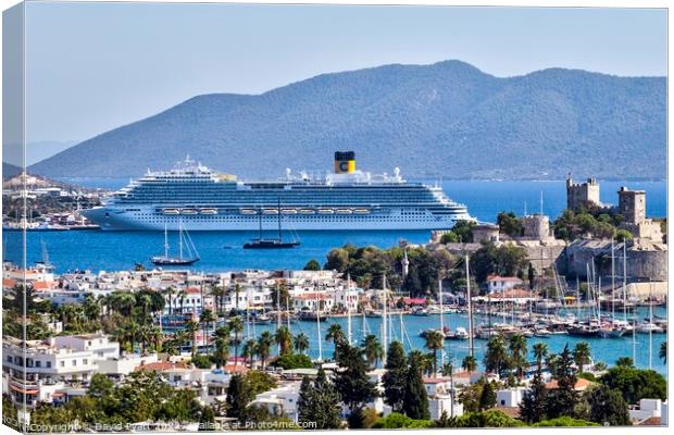 Bodrum Castle And Cruise Ship Canvas Print by David Pyatt