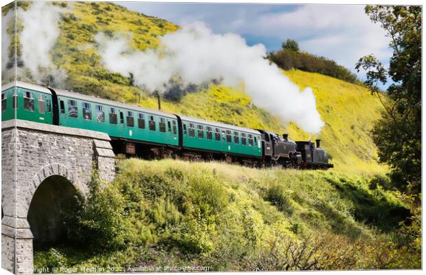 Enchanting Journey Through Time Canvas Print by Roger Mechan