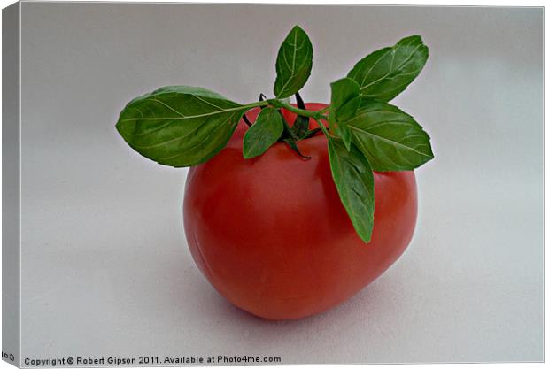 Tomato and Basil Canvas Print by Robert Gipson