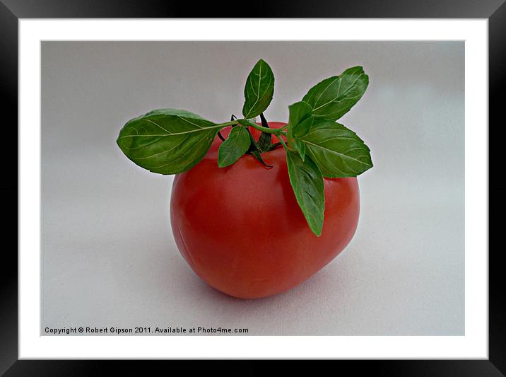 Tomato and Basil Framed Mounted Print by Robert Gipson