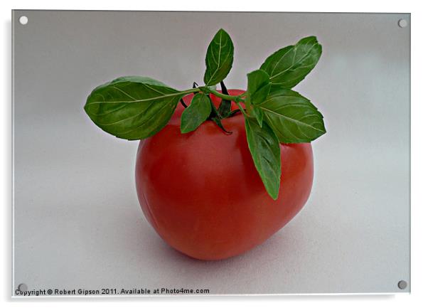 Tomato and Basil Acrylic by Robert Gipson