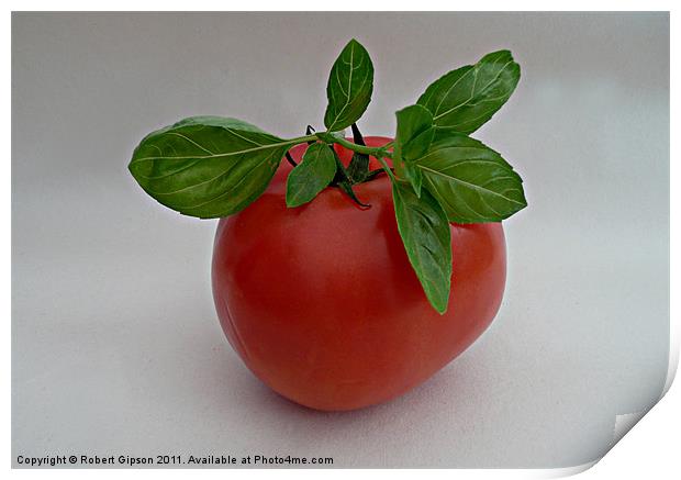 Tomato and Basil Print by Robert Gipson