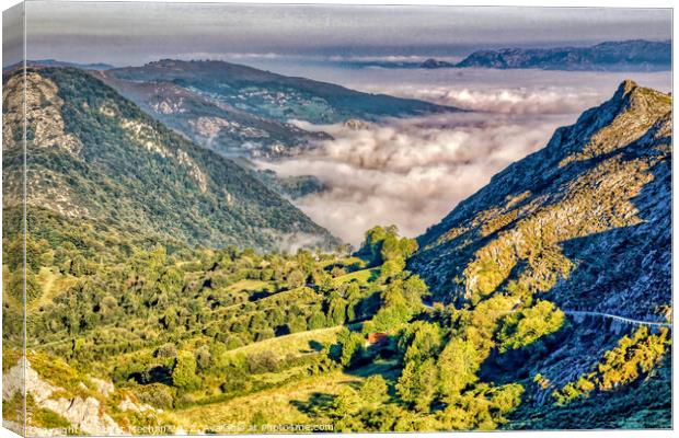 Misty Magic in Picos Mountains Canvas Print by Roger Mechan