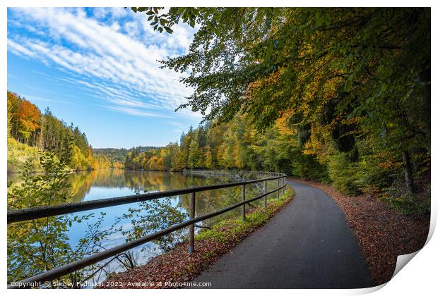 Road along the Vltava river in the autumn season. Print by Sergey Fedoskin