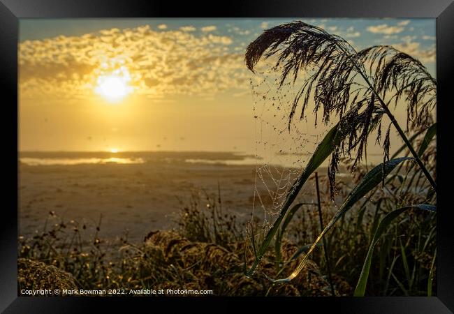 Morning Dew on Cobweb Framed Print by Mark Bowman