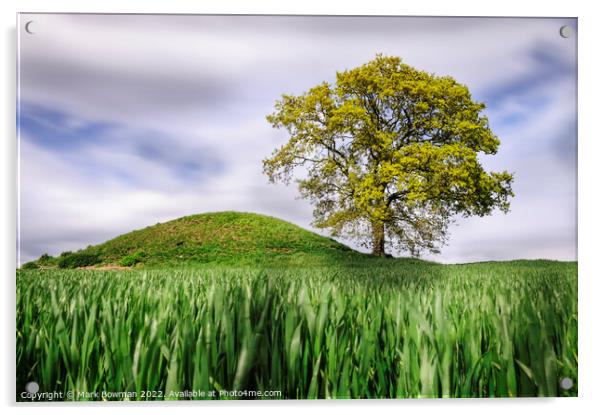 Hillside Tree Acrylic by Mark Bowman
