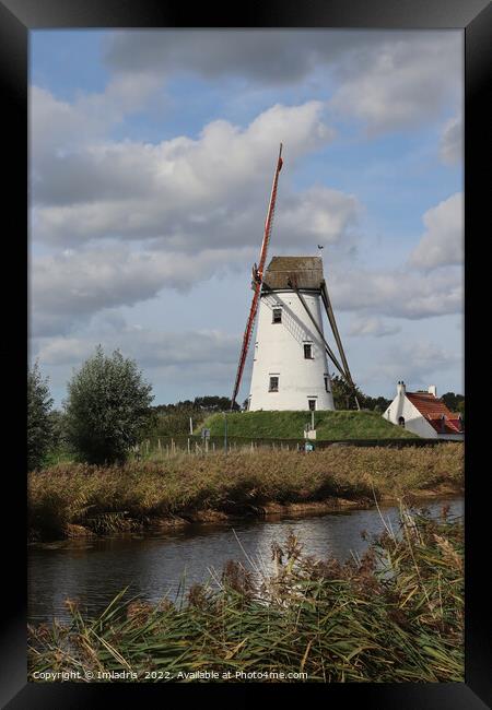 Schellemolen Windmill, Damme, Belgium Framed Print by Imladris 