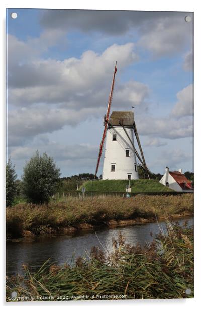 Schellemolen Windmill, Damme, Belgium Acrylic by Imladris 