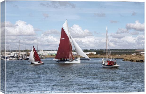 Oyster Smacks at the Hythe Maldon Canvas Print by Diana Mower